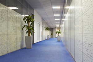 blue office carpet in hallway